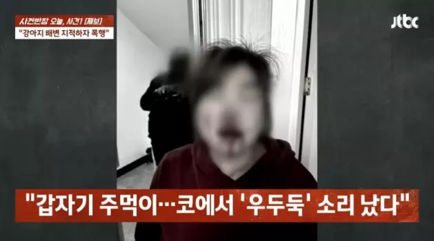 “반려견 배변 치워달라”고 말하자 주먹 날아와.. 코 뼈 골절