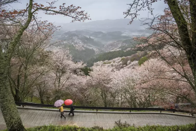 날씨
