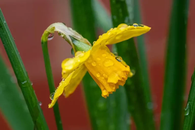 바람