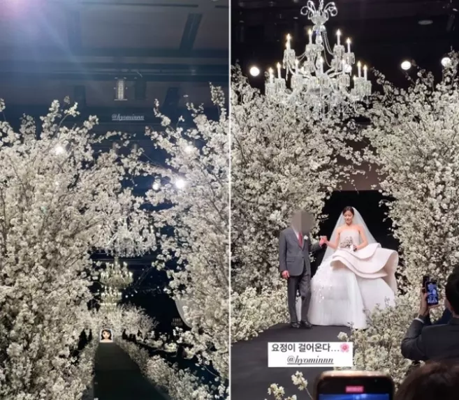 티아라 효민