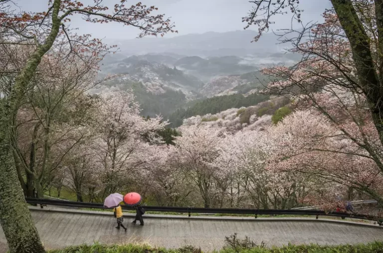 날씨