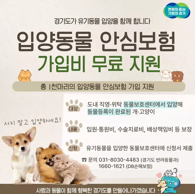 반려동물보험