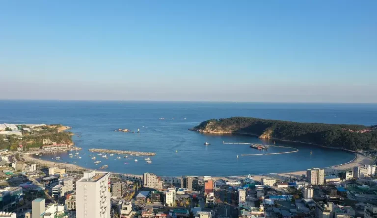 울산