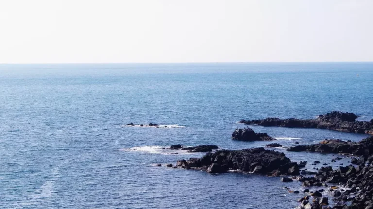 제주 해수욕장