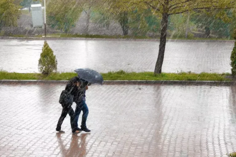장마