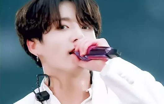 BTS 멤버 정국 의 자택에 침입을 시도한 중국인 현행범으로 체포되었다