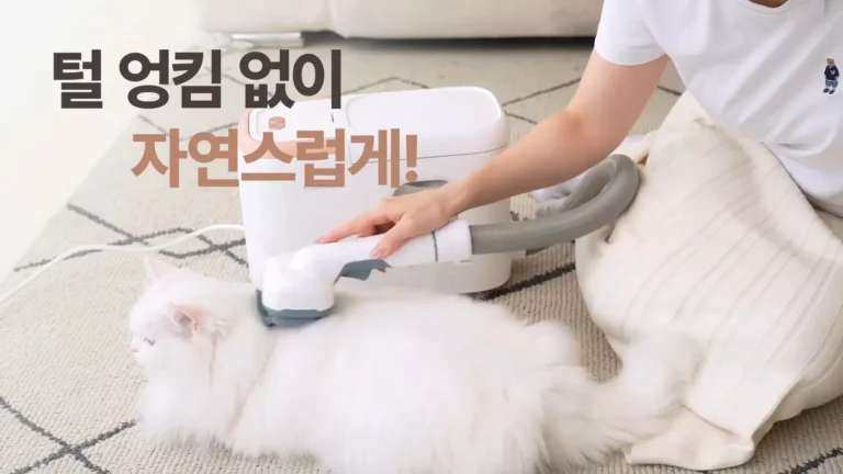 아이클레보가 애견호텔에 펫버틀러를 협찬하며 반려동물 청결 관리에 기여했다.