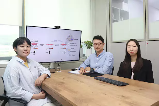 운동 효과가 연령에 따라 달라지는 생물학적 원인이 단백질 의 변화 문인 것으로 밝혀졌다.